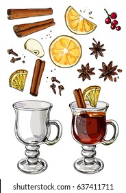 Mulled wine. Christmas drink. Recipe mulled wine from apple, orange, spices. Vector sketch of food line. Colored fruit.