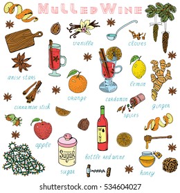 Mulled Wine Hand Drawn Recipe. Winter and Christmas Hot Drink theme. Vector illustration with text.
