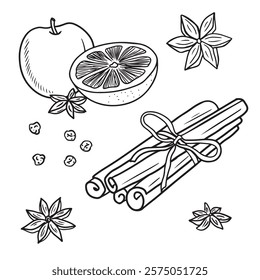 Mulled wine ingredients apple, orange, tangerine, cinnamon sticks, anise star and pepper. Hand drawn vector sketch illustration in doodle vintage engraved line art style. Package design
