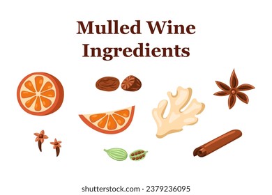 mulled wine ingredients. Vector illustration