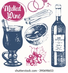 Mulled wine set in sketch style. Classical winter drink. Vector illustration with bottle, grape, cinnamon, orange. 