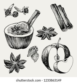 Mulled Wine and spices, orange, apple, cinnamon, carnation, anise, berry, clove, physalis. Hand drawn vector Illustration. Set in sketch style. Classical winter drink.