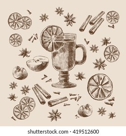 Mulled wine. Wine and spices, orange, apple, cinnamon, carnation, anisetree. Hand drawn vector Illustration.