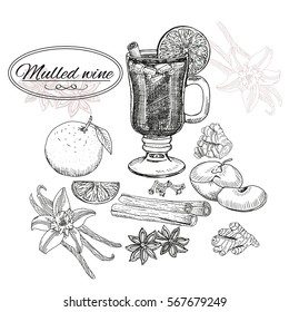 Mulled Wine and spices, orange, apple, cinnamon, carnation, anise, vanilla, clove, ginger. Hand drawn vector Illustration. Set in sketch style. Classical winter drink.