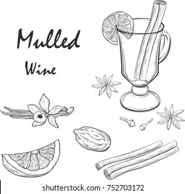 Mulled Wine and spices, orange, apple, cinnamon, carnation, anise, vanilla, clove, ginger. Hand drawn vector Illustration. Set in sketch style. Classical winter drink.