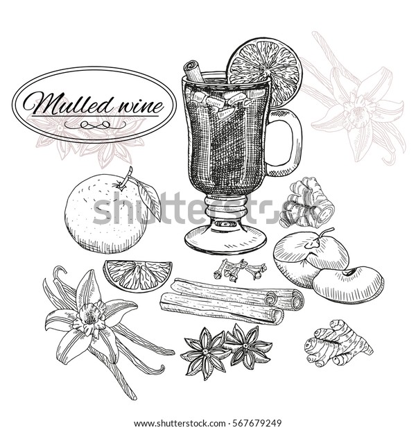 Mulled Wine and\
spices, orange, apple, cinnamon, carnation, anise, vanilla, clove,\
ginger. Hand drawn vector Illustration. Set in sketch style.\
Classical winter drink.