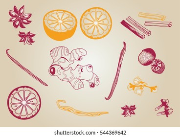 Mulled wine spices vector set