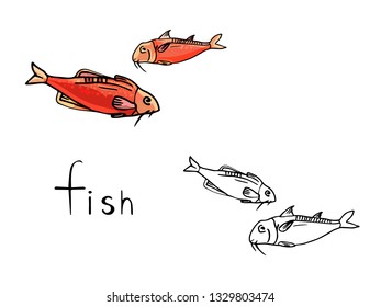Mullus, color and outline on a white background, for the menu of cafes and restaurants. Drawn by hand.
