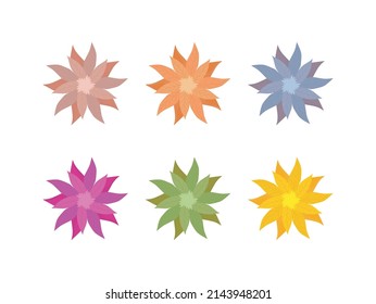 multi color flowers vector collections