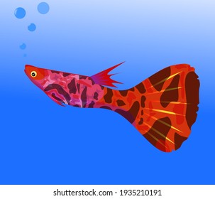 Ilustración vectorial de peces de cachorro multicolor, aislados en fondo negro
