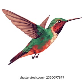 multi colored hummingbird over white