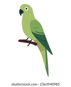 Multi colored macaw over white