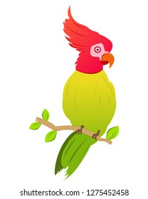 multi colored parrot character mascot vector