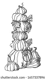 Multi colored pumpkins lie on top of each other
