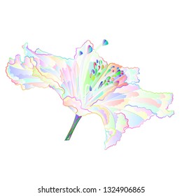 Multi colored Rhododendron  light  flower   mountain shrub on a white background  vintage vector illustration editable hand draw