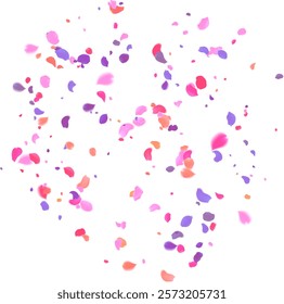 multi colored rose petals romantic background with realistic pink cherry flower petals flow or falling motion. Love, romance, floral spring season