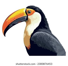 Multi colored toucan flying in tropical rainforest over white