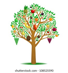 Multi fruit tree, vector art