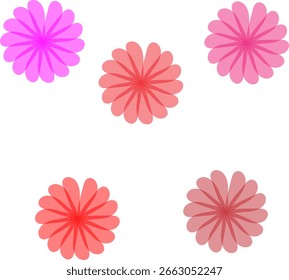 multi light color flower mandala design