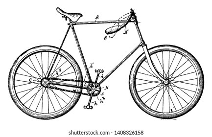 Multi Purpose Bicycle Is A Pedal Driven Human Powered Single Track Vehicle Having Two Wheels Attached To A Frame, Vintage Line Drawing Or Engraving Illustration.