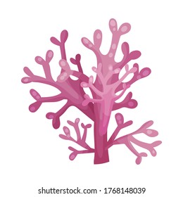Multicellular Marine Algae Growing on Sea Bottom Vector Illustration