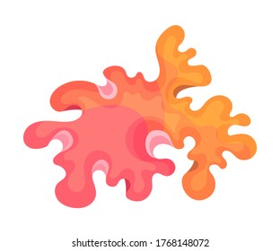 Multicellular Marine Algae Growing on Sea Bottom Vector Illustration