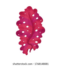 Multicellular Marine Algae Growing on Sea Bottom Vector Illustration