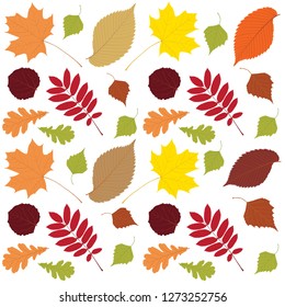Multicolor autumn leaves seamless background. Vector illustration