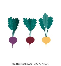 Ilustración a mano de remolacha multicolor. Diseño plano de estilo caricatura, vector aislado. Verano, cosecha de otoño, elemento de impresión del mercado agrícola, agricultura, jardinería, alimentos sanos y vegetarianos