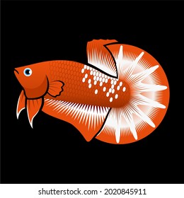 Multicolor Betta Splendens Fish Vector