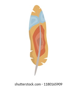 
Multicolor bird feather is attractive feather 
