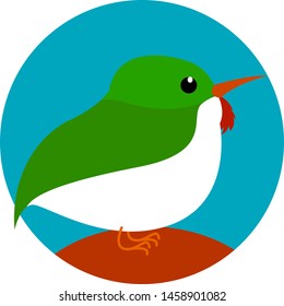 Multicolor bird, illustration, vector on white background.