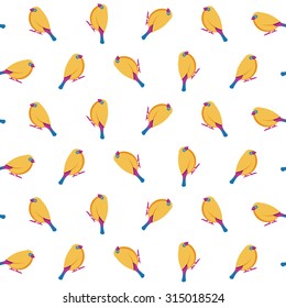multicolor birds set - multicolor birds on white background