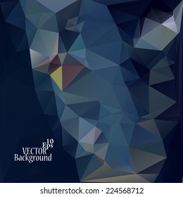 Multicolor ( Blue, Gray, Dark, Black  ) Design Templates. Geometric Triangular Abstract Modern Vector Background. 