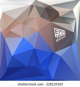 Multicolor ( Blue,Brown ) Design Templates. Geometric Triangular Abstract Modern Vector Background. 