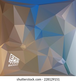 Multicolor ( Blue,Brown,Gray ) Design Templates. Geometric Triangular Abstract Modern Vector Background. 
