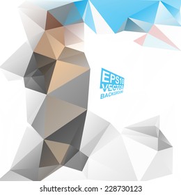 Multicolor ( Blue,Brown,Gray,White ) Design Templates. Geometric Triangular Abstract Modern Vector Background. 