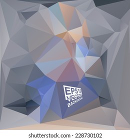Multicolor ( Blue,Purple,Violet,Gray ) Design Templates. Geometric Triangular Abstract Modern Vector Background. 