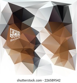 Multicolor ( Brown,Black,Gray,Coffee ) Design Templates. Geometric Triangular Abstract Modern Vector Background. 