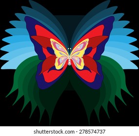 Multicolor Butterfly on a black background