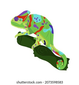 Camaleón multicolor sentado en una rama sobre un fondo blanco, ilustración vectorial.
