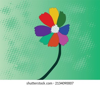 Multicolor Cosmos flower on a green background vector Illustration 