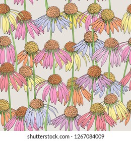 Multi-color Daisy realistic drawing. Vector seamless pattern.