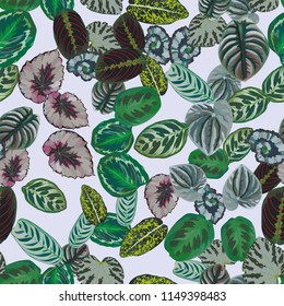 Multicolor exotic leaves pattern seamless light gray background. Trendy composition botanical nature beach wallpaper