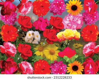 Multicolor fresh flowers collection is an isolated abstract floral nature background photo painting ,great for decoration ,valentine day and christmas gift card ,textile and book cover 