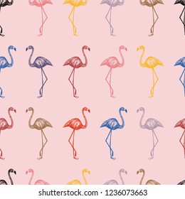 Multicolor hand drawn flamingo in penci seamless pattern pink background. Cartoon wallpaper