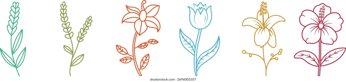 Multicolor Hand Drawn Flower Collection