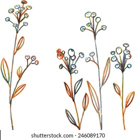 Multicolor line drawing flowers and grass, hand drawn vector illustration