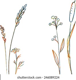 Multicolor line drawing flowers and grass, hand drawn vector illustration