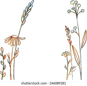 Multicolor line drawing flowers and grass, hand drawn vector illustration